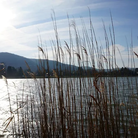 Countryside & Metropolis By Jr Appartement *