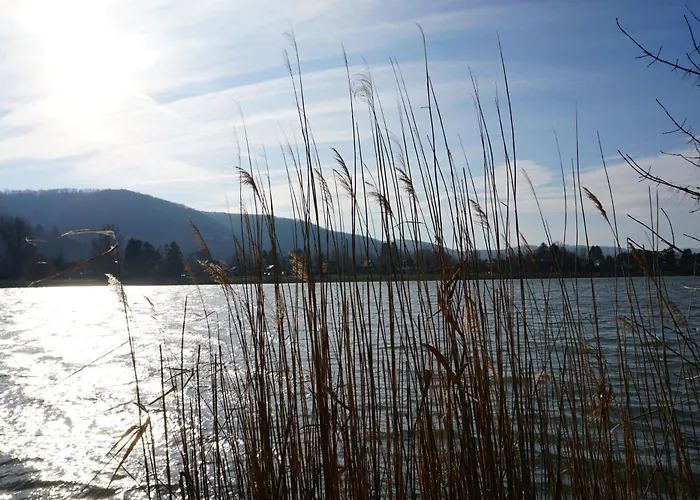 Countryside & Metropolis By Jr Lejlighed *